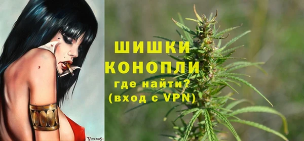 молекула духа Краснослободск