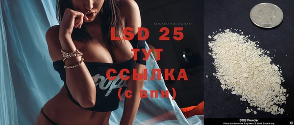 молекула духа Краснослободск