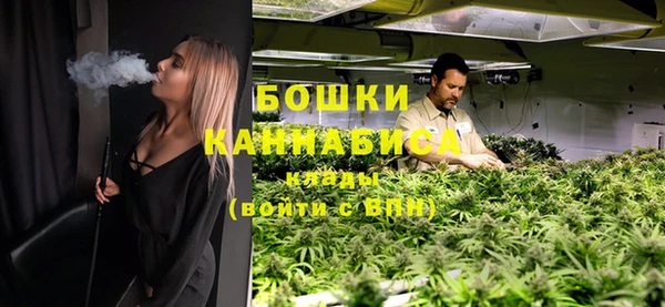 молекула духа Краснослободск