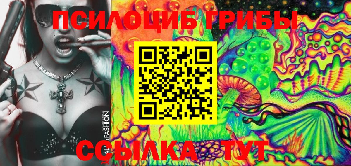 Чернушка  Псилоцибиновые грибы Psilocybine cubensis  Галлюциногенные грибы Cubensis  Вход с VPN 