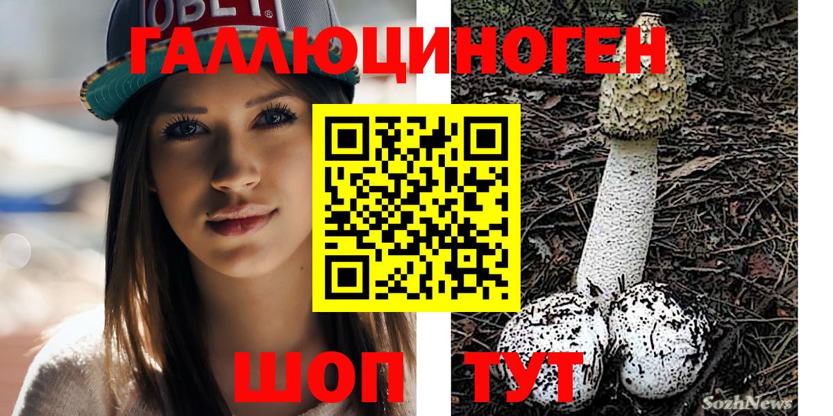 Псилоцибиновые грибы MAGIC MUSHROOMS Чернушка