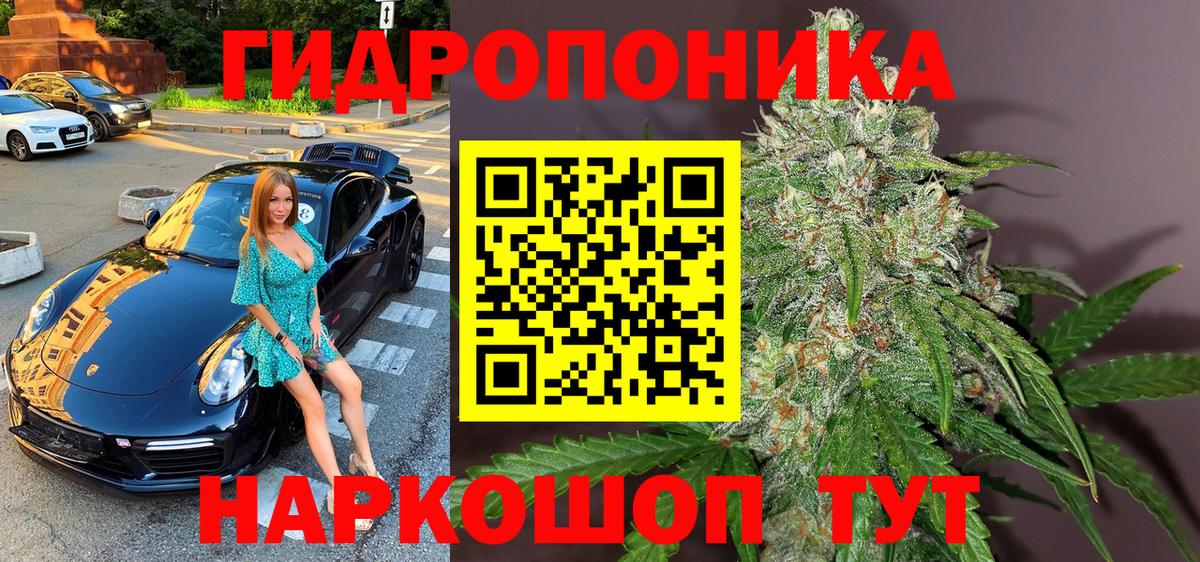 Конопля тримм  Марихуана марихуана  Чернушка  Марихуана тримм  Вход с VPN  Марихуана LSD WEED 